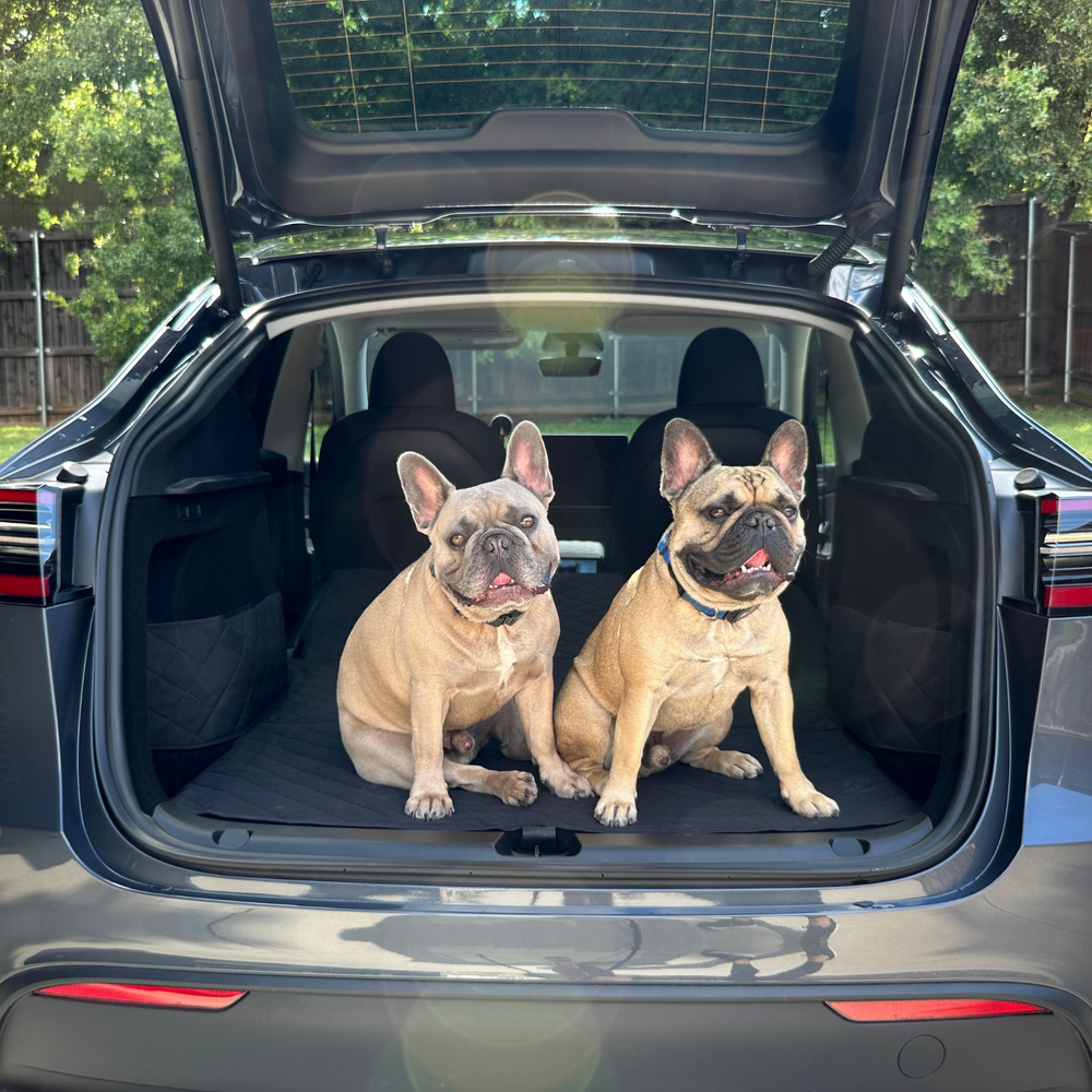 Premium Model Y Trunk Liner