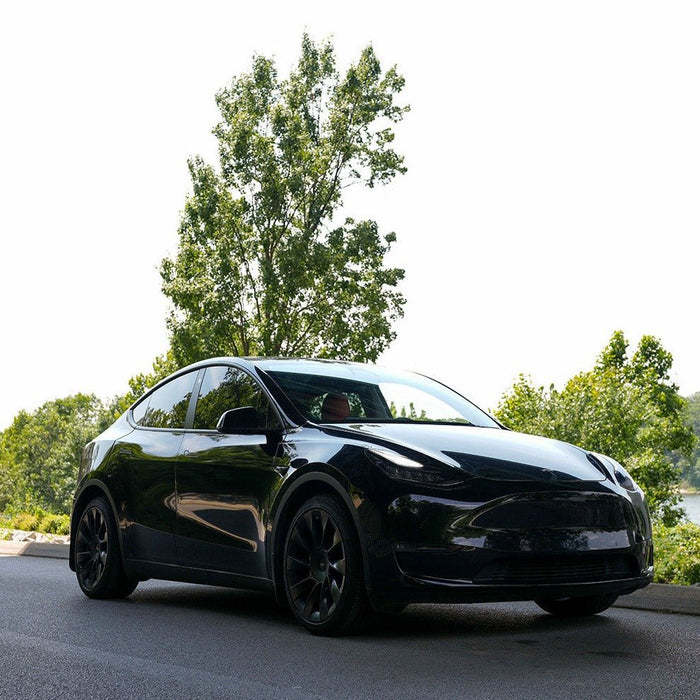 DIY Full Body Protection Kit - PPF for Model Y