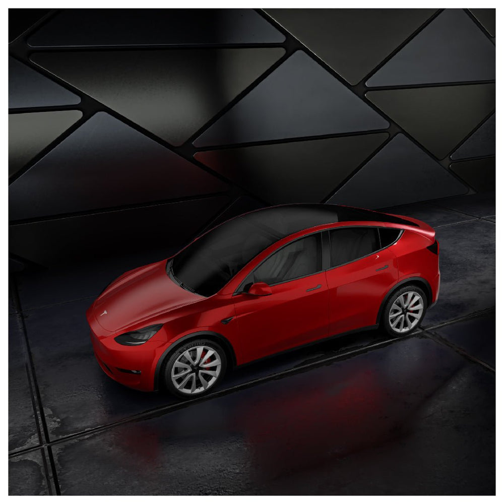 DIY Full Body Protection Kit - PPF for Model Y