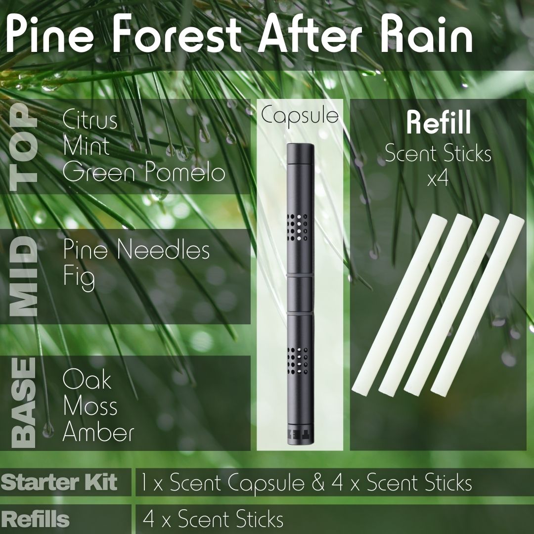 Premium Refillable Air Freshener for Model 3/Y Kit (1 Capsule & 4 Sticks) / Blackberry Bush Starter Kit