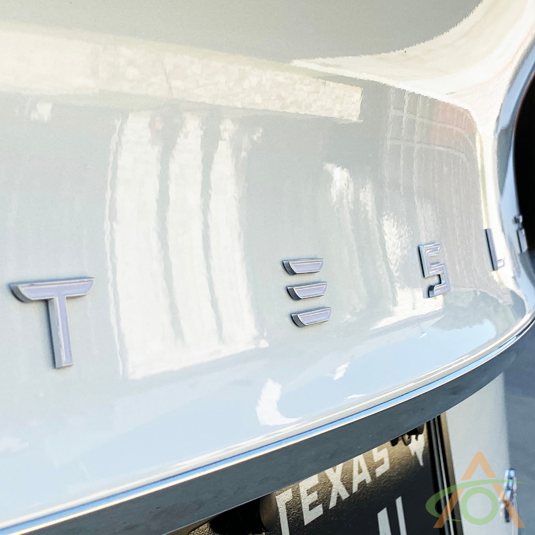 Polar White with Satin Silver edge Tesla Emblem